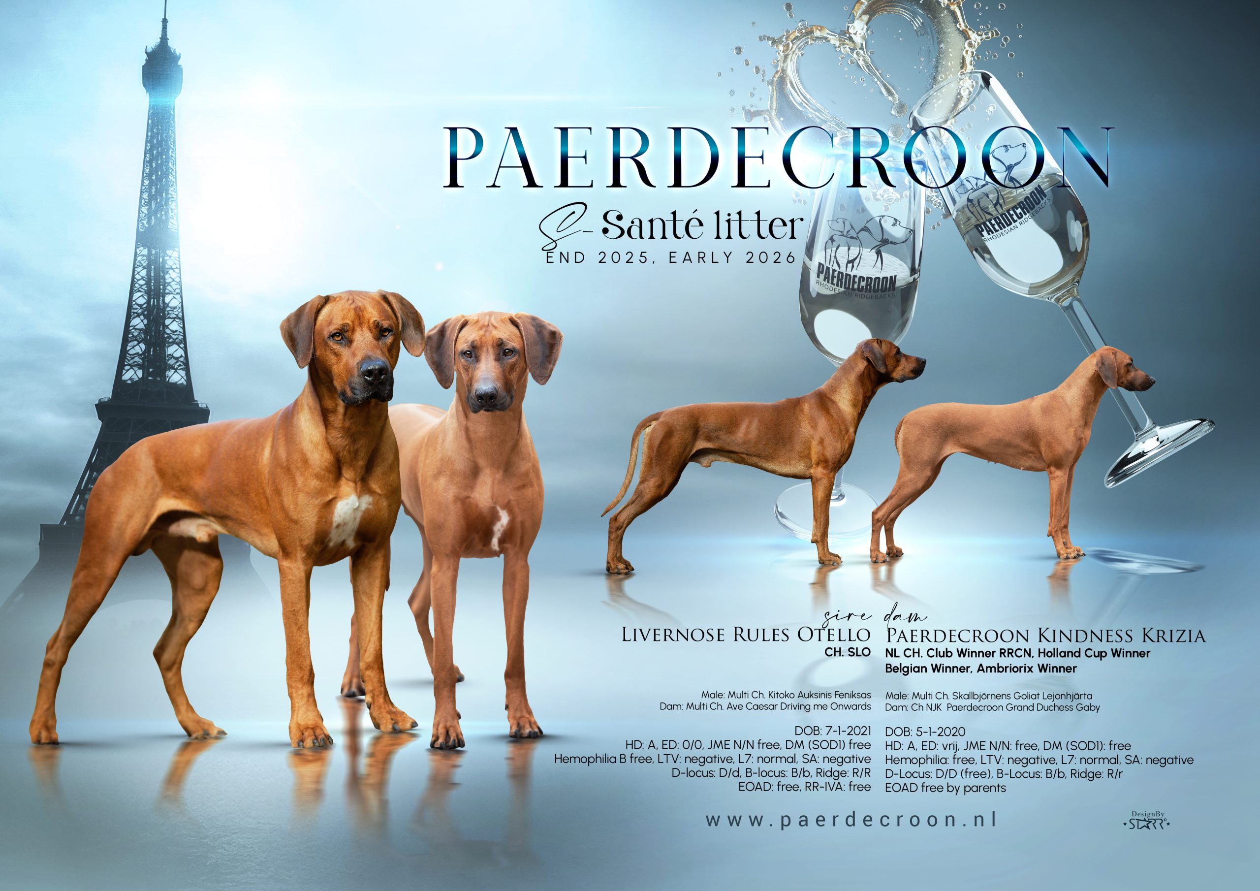 Paerdecroon S nest Livernose Rules Otello litter announcement